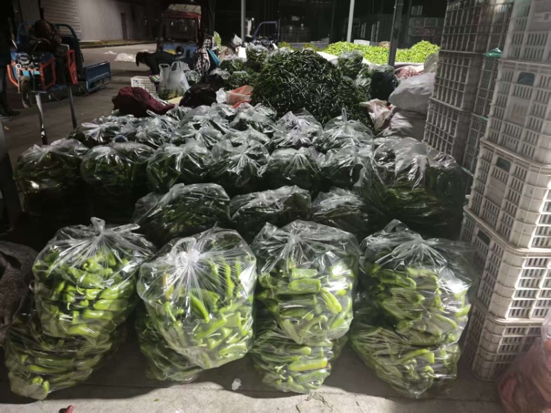 精品青椒，大量上市，品质有保障，一手货源，量大从优