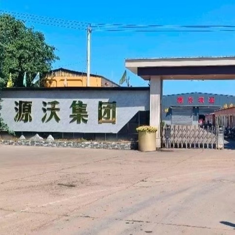 益生菌发酵大豆有效活菌数≥5亿/克