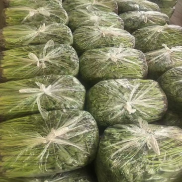 江苏小香芹，大量上市，产地直发，一手货源，品质有保障