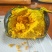 云南精品贝贝南瓜，粉嫩粉嫩的那种，零售后