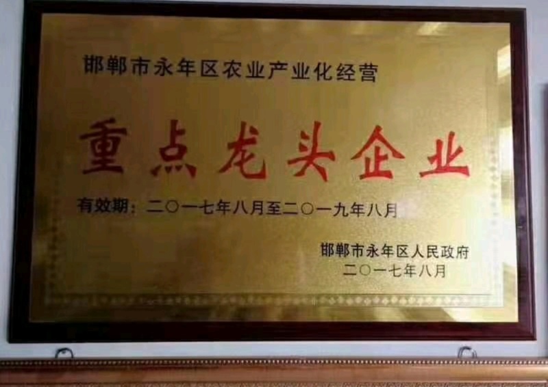 益生菌发酵大豆有效活菌数≥5亿/克