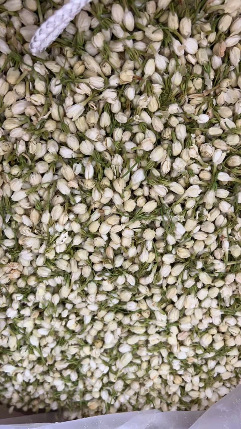 横县茉莉花蕾干