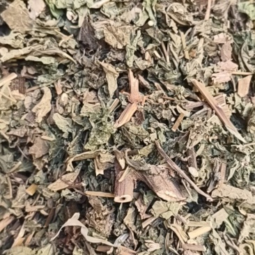 天名精