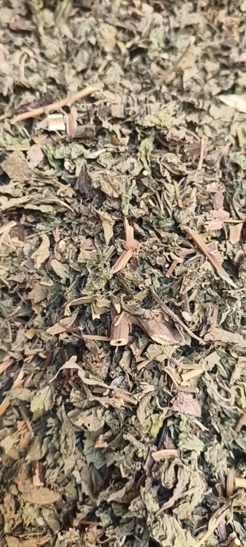 天名精