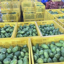 广东香水柠檬