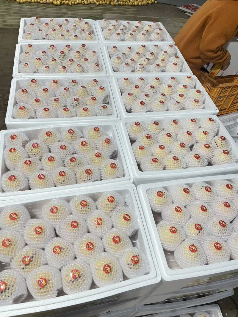 有需要的联系量大价格优惠