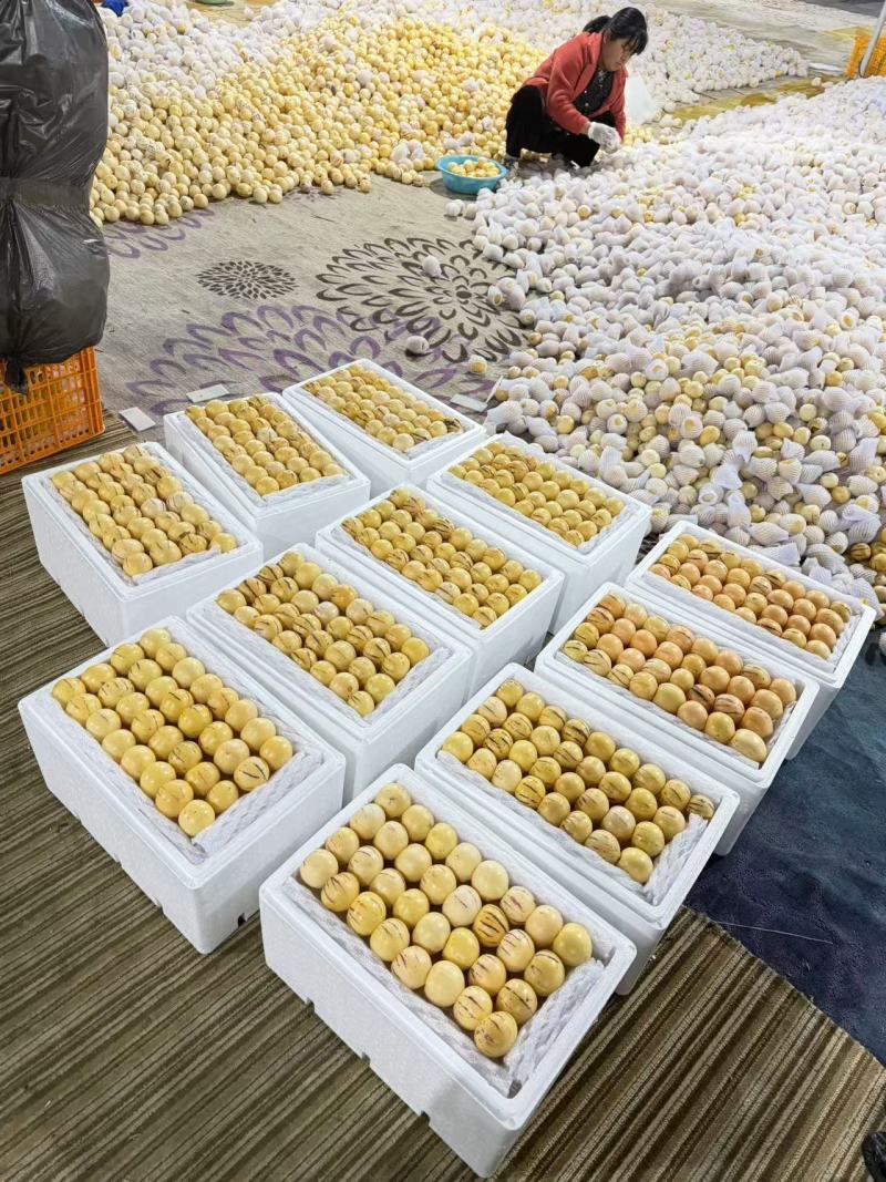 有需要的联系量大价格优惠