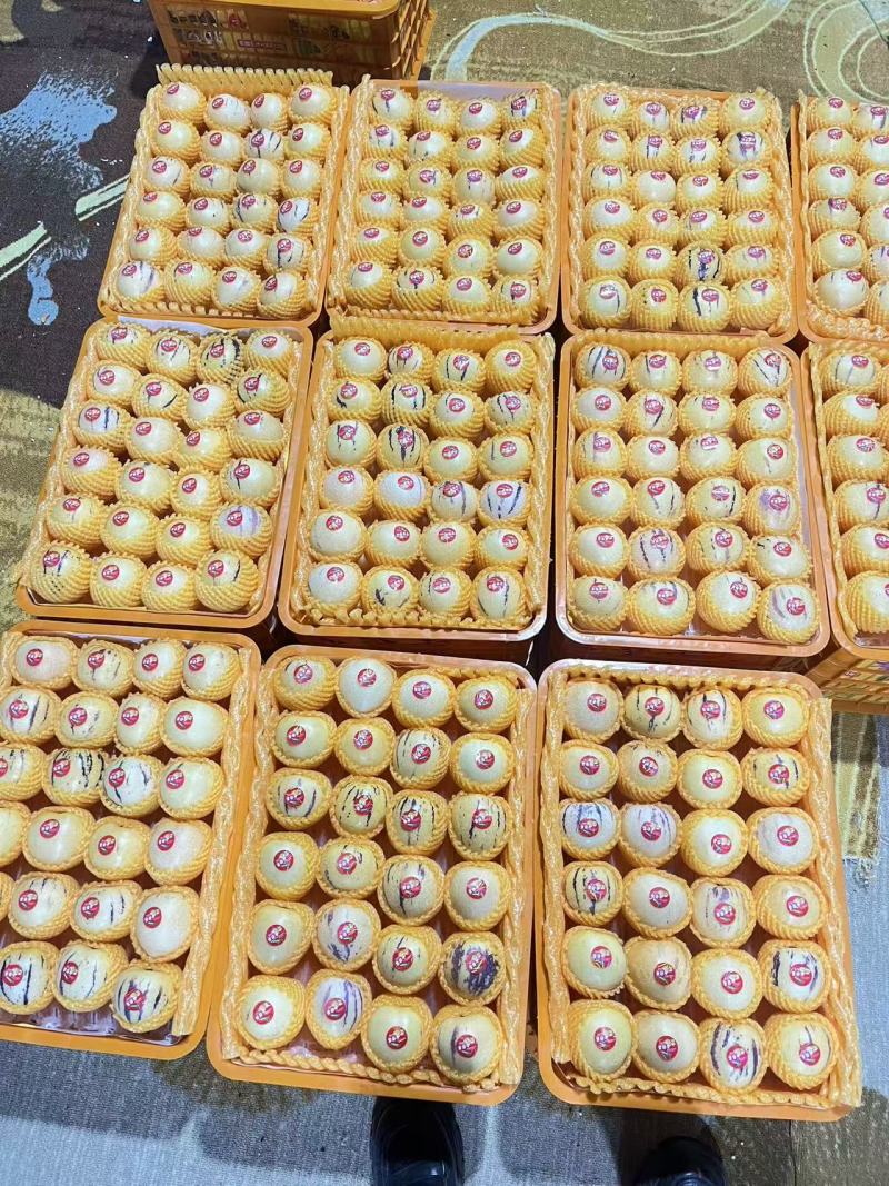 有需要的联系量大价格优惠