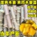 华南9号黄肉木薯苗黄心木薯种苗
