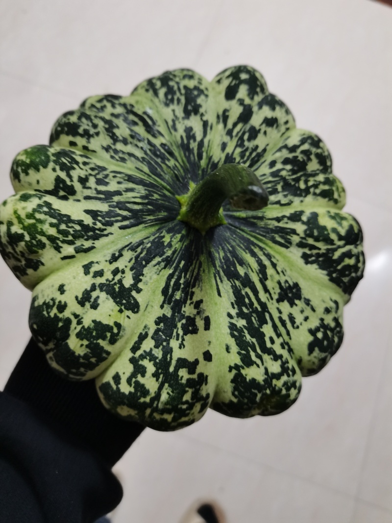 飞碟香南瓜，直接打电话，平台无法聊天