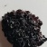 血耳菌，血耳，血木耳，