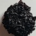 血耳菌，血耳，血木耳，
