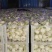 扒皮蒜净蒜大量供应市场商超电商平台欢迎全国客商