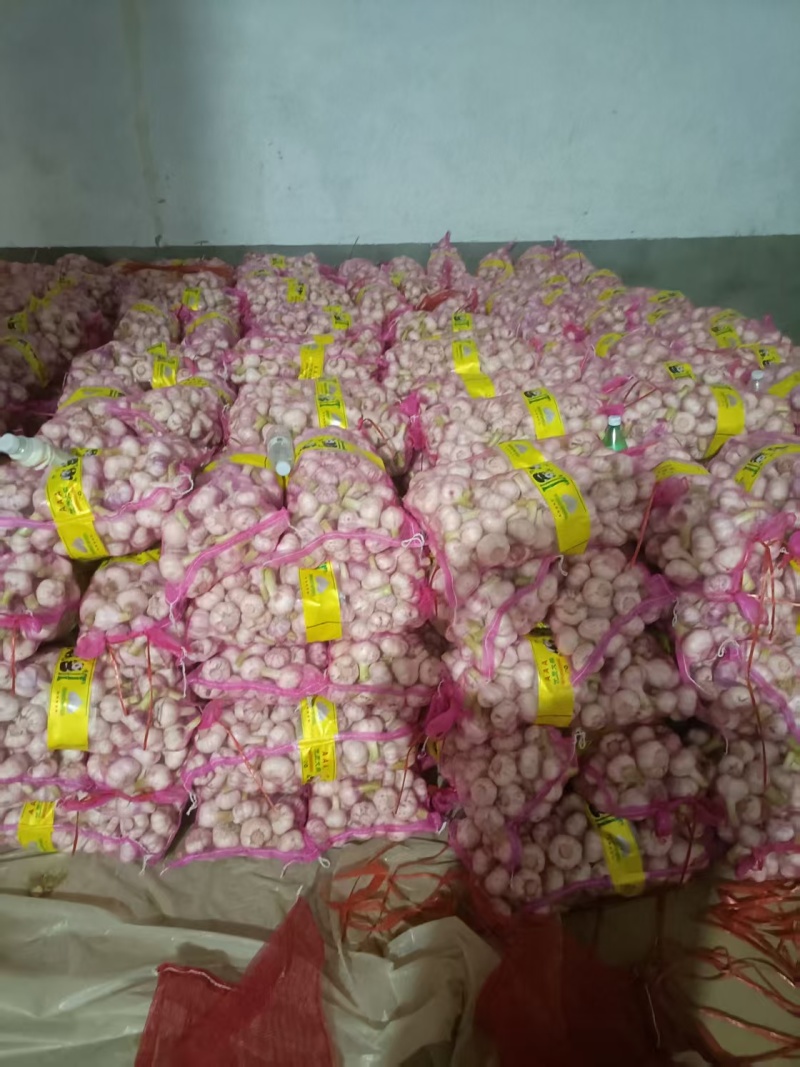 扒皮蒜净蒜大量供应市场商超电商平台欢迎全国客商