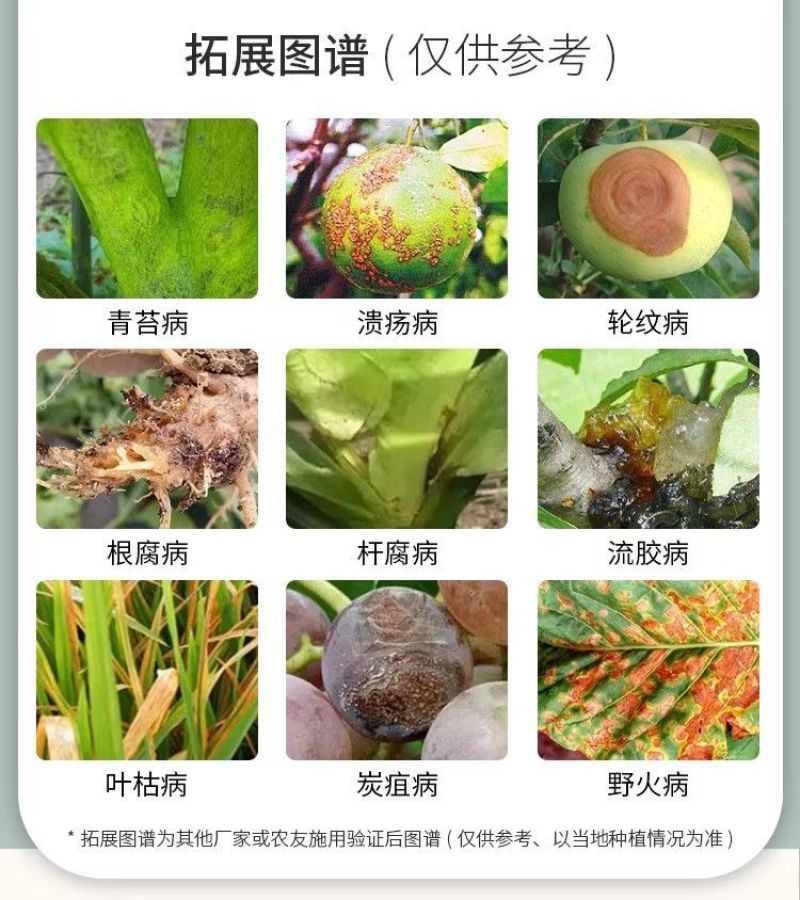卧龙80%乙蒜素苹果褐斑病像果树真细菌青苔溃疡枯萎病