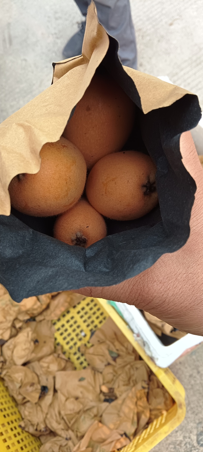 甜蜜蜜的枇杷