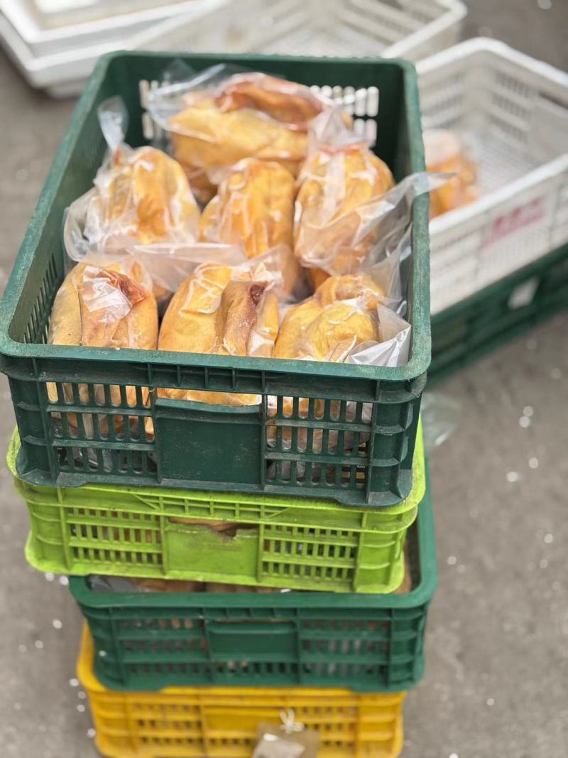 广东正宗清远阳山大阉鸡三林散养太监鸡