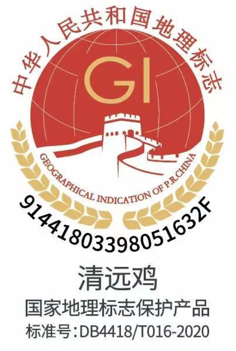广东正宗清远阳山大阉鸡三林散养太监鸡