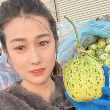 花美人甜瓜山东甜瓜
