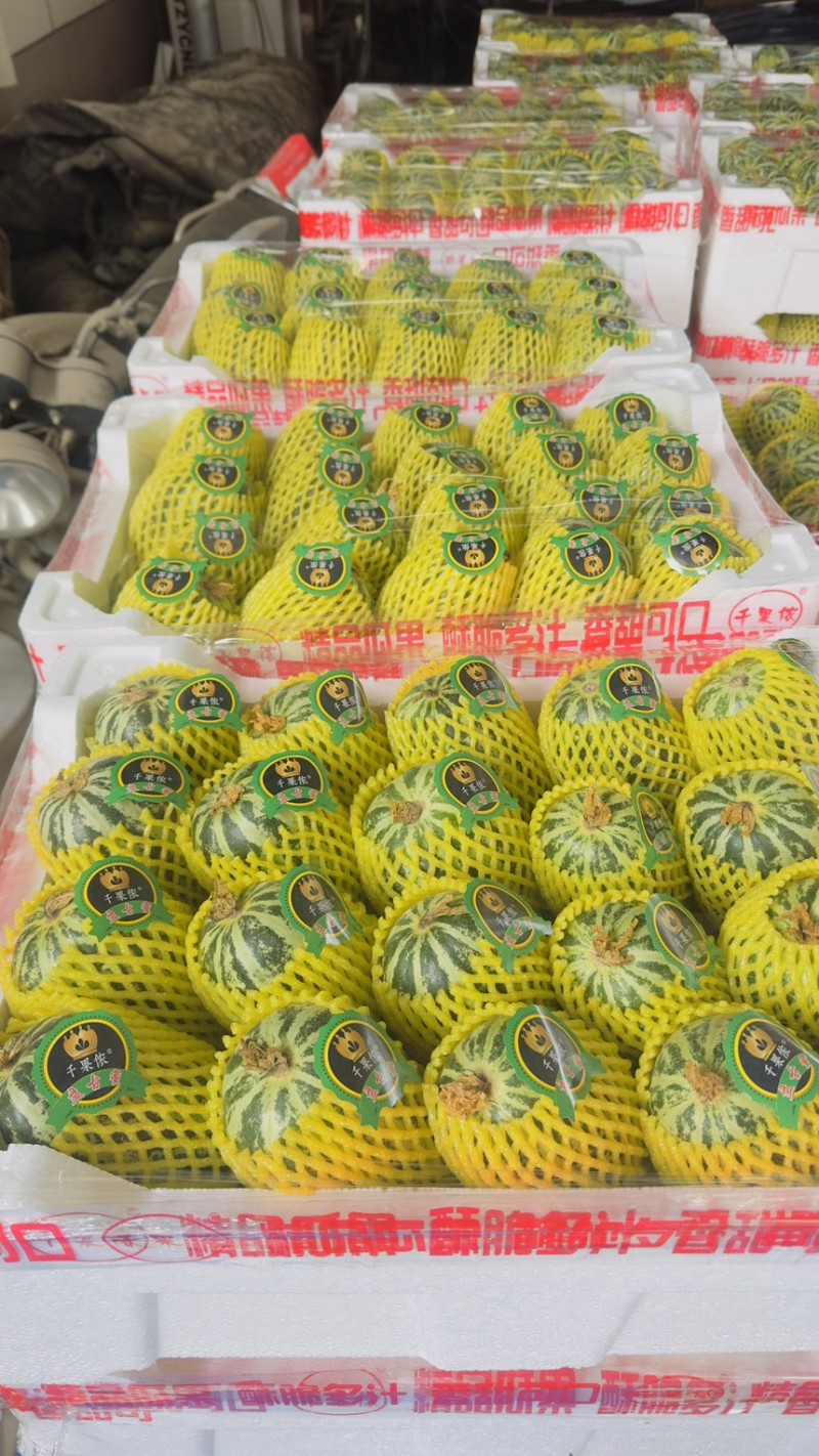花美人甜瓜山东甜瓜