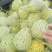 花美人甜瓜山东甜瓜