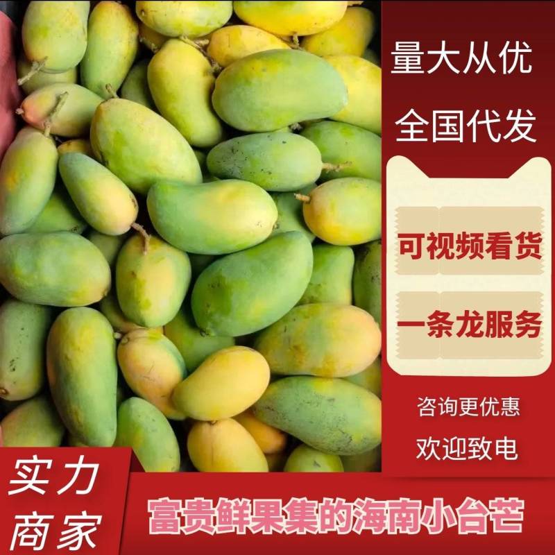 海南小台芒芒果产地直供货源充足对接批发商欢迎致电