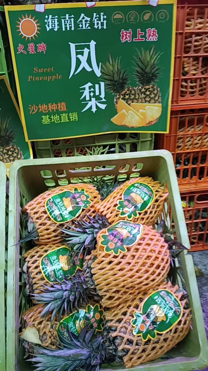 【金钻菠萝】贵州菠萝/贵州金钻菠萝/品质保证量大从优
