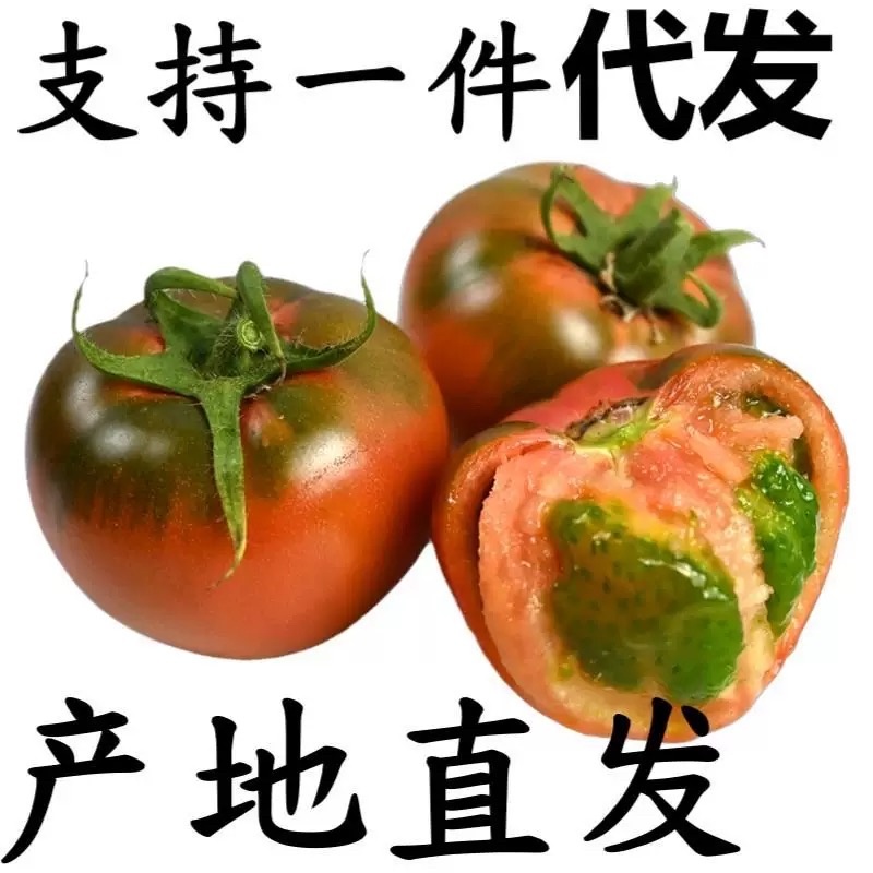 草莓番茄铁皮柿子新鲜水果西红柿各大平台电商一件代发
