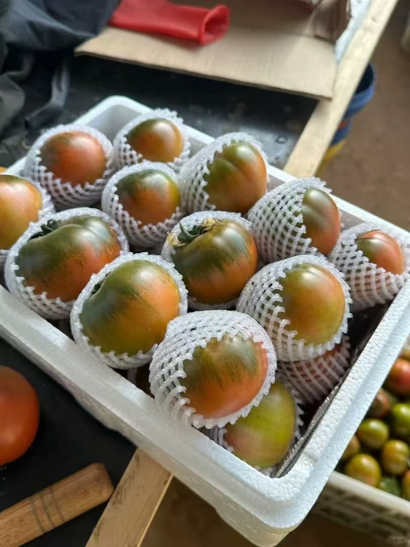 草莓番茄铁皮柿子新鲜水果西红柿各大平台电商一件代发