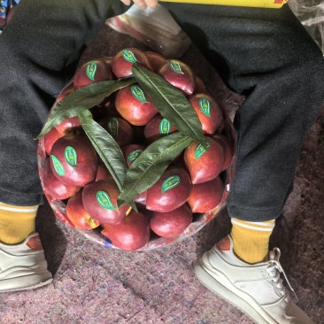 黄油桃