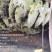 云南深山森林野生百花蜜