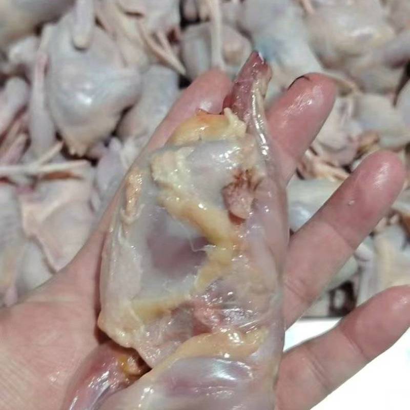 扒皮鹌鹑五万