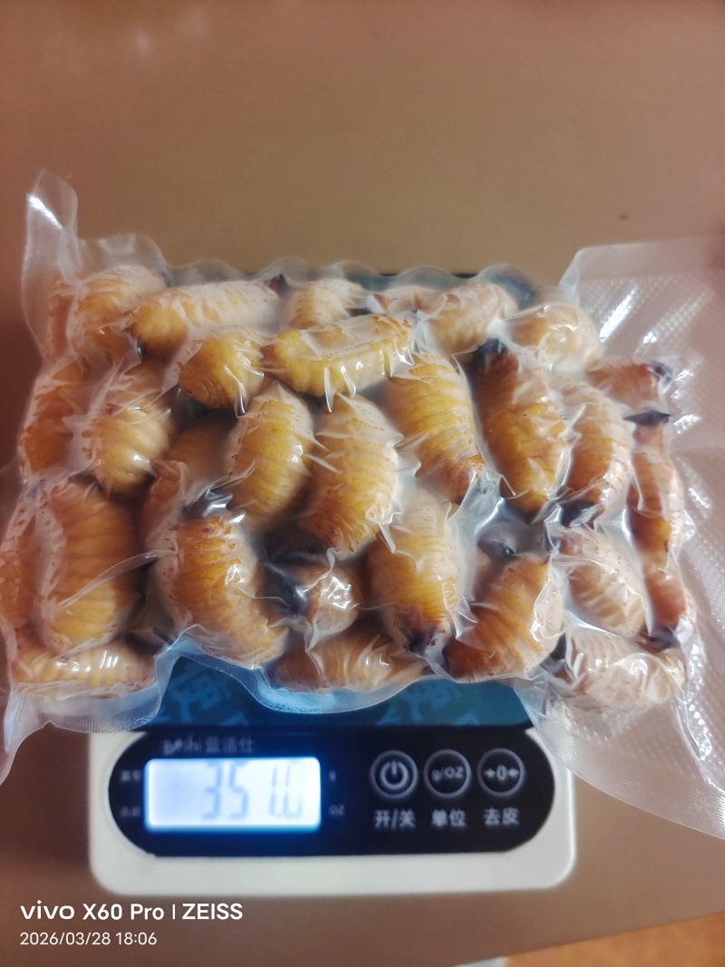 竹虫（商品虫），冻虫单个5克以上