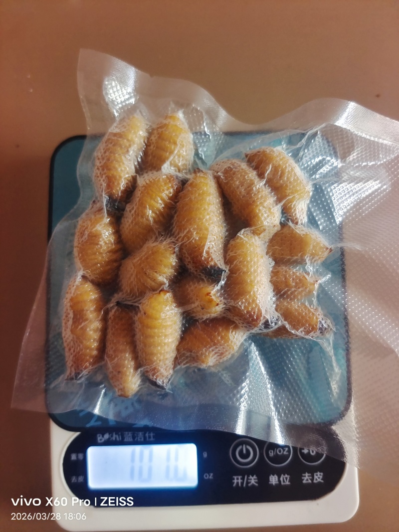竹虫（商品虫），冻虫单个5克以上