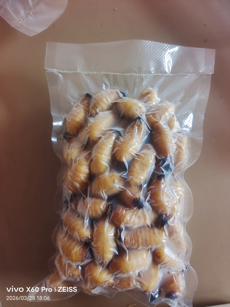 竹虫（商品虫），冻虫单个5克以上