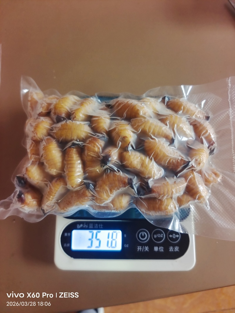 竹虫（商品虫），冻虫单个5克以上