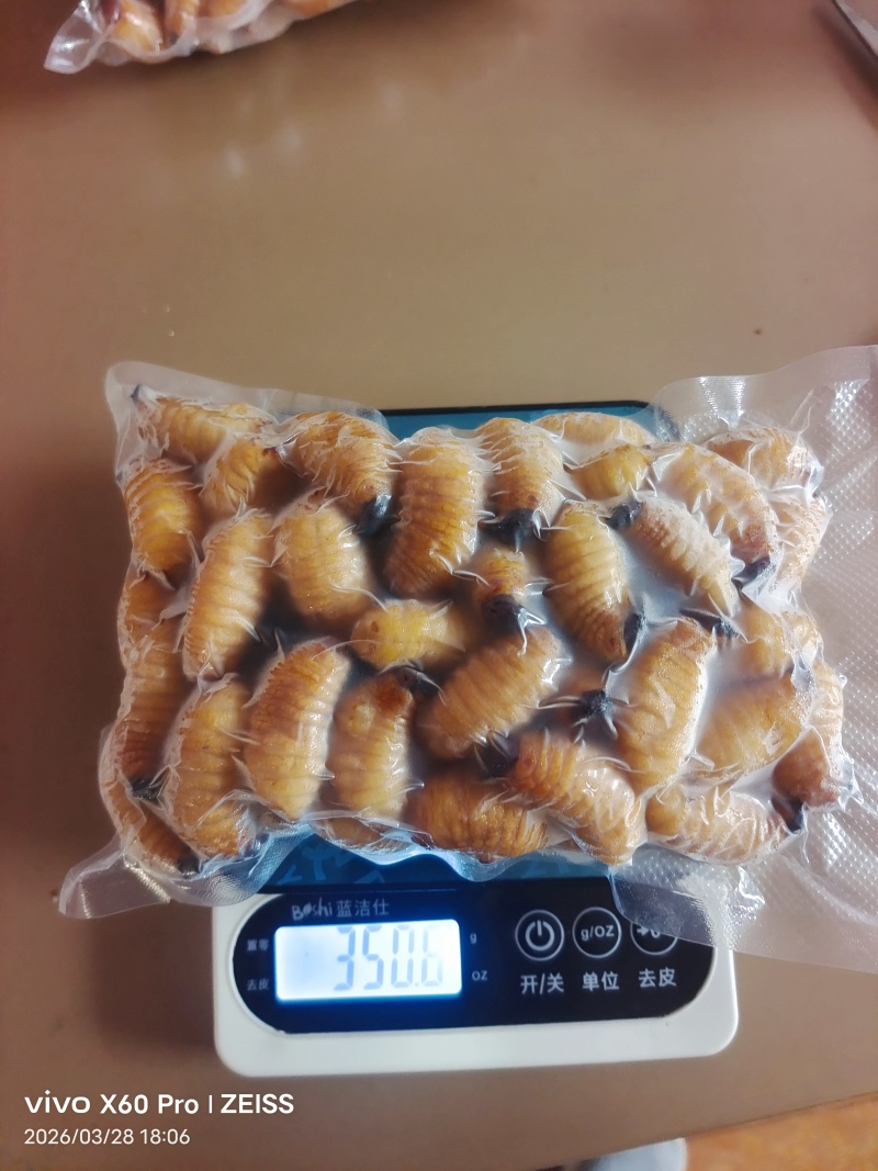 竹虫（商品虫），冻虫单个5克以上