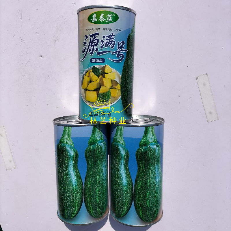 源满一号南瓜种子农家春播嫩南瓜种籽早中熟杂交南瓜种孑