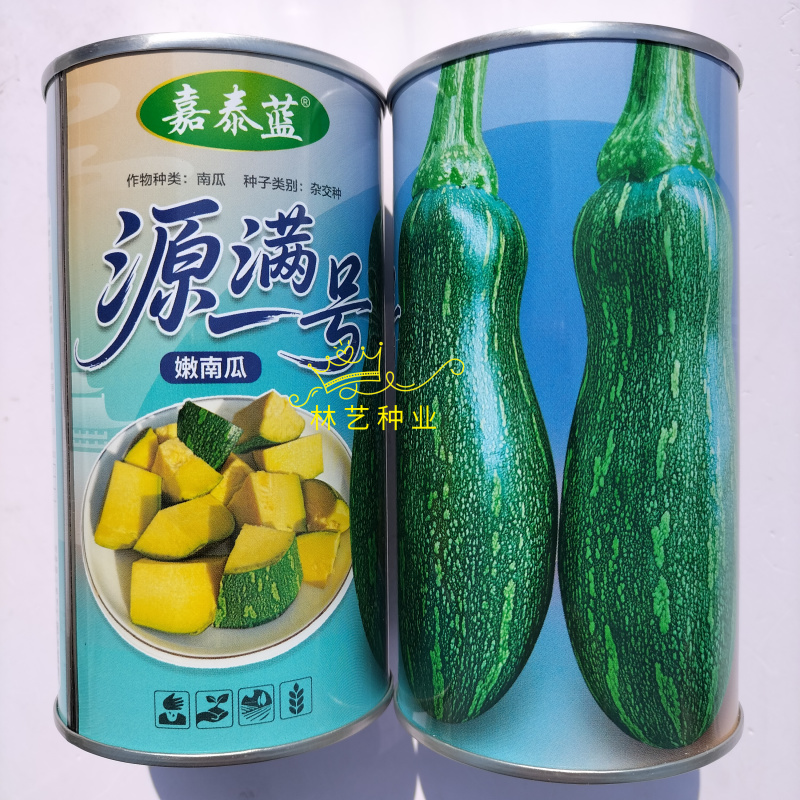 源满一号南瓜种子农家春播嫩南瓜种籽早中熟杂交南瓜种孑