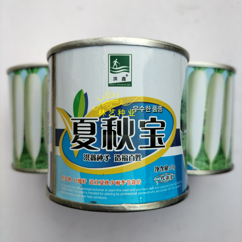 夏秋宝早熟杂交一代白萝卜种子板叶长圆筒形纤维少耐热产量高