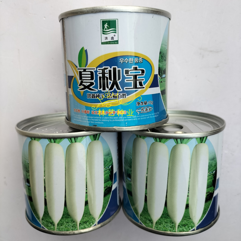 夏秋宝早熟杂交一代白萝卜种子板叶长圆筒形纤维少耐热产量高