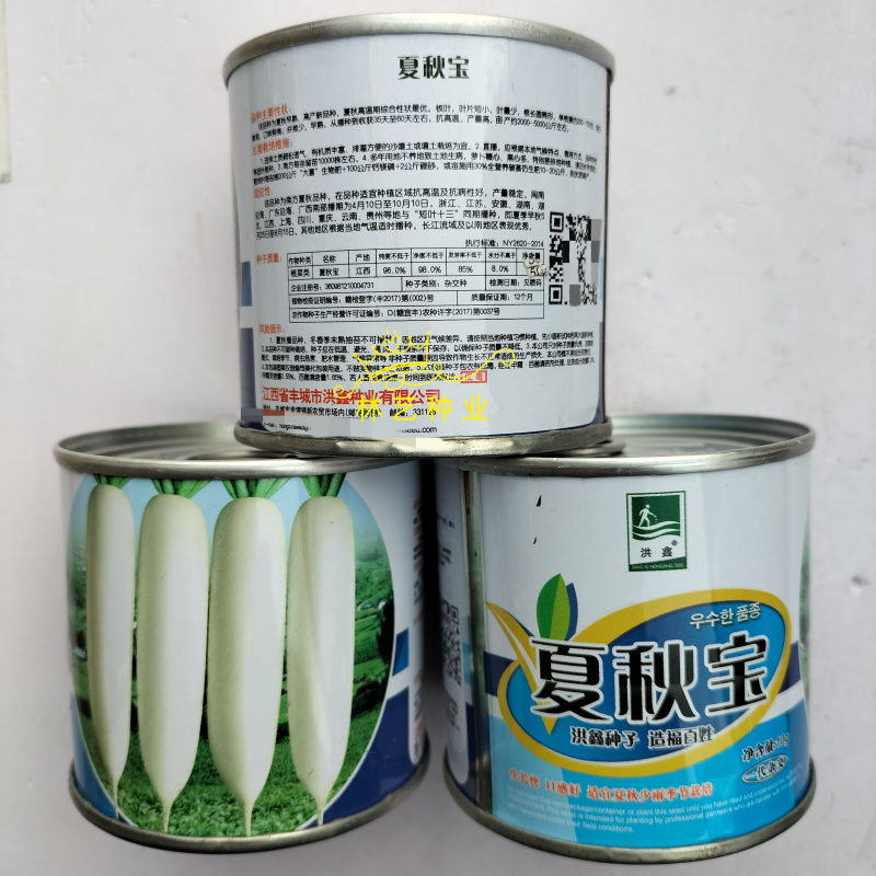 夏秋宝早熟杂交一代白萝卜种子板叶长圆筒形纤维少耐热产量高