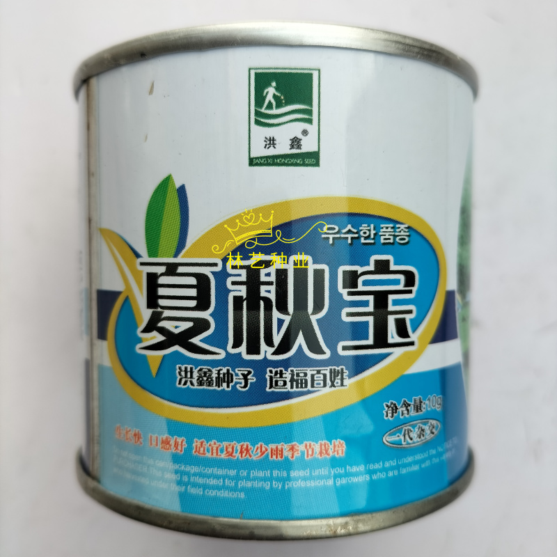 夏秋宝早熟杂交一代白萝卜种子板叶长圆筒形纤维少耐热产量高