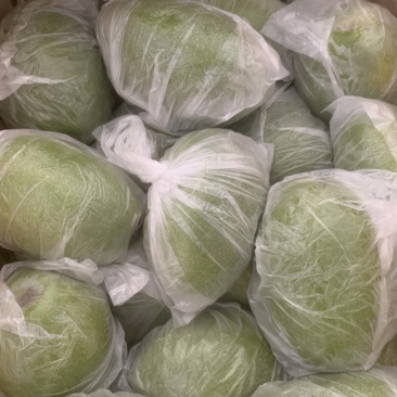 白花酸木瓜套带的