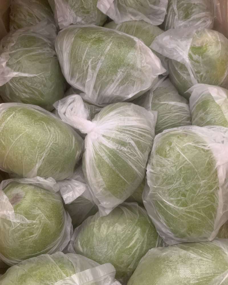 白花酸木瓜套带的
