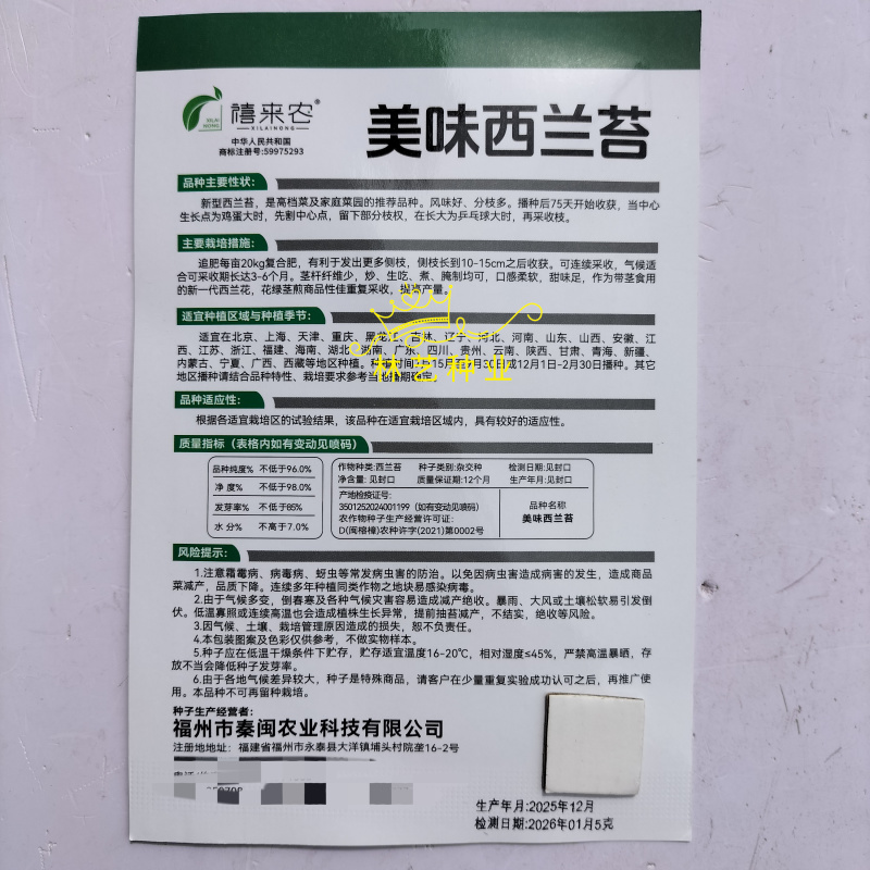 美味西兰苔种子营养西兰花菜种籽高产抽苔花菜苔