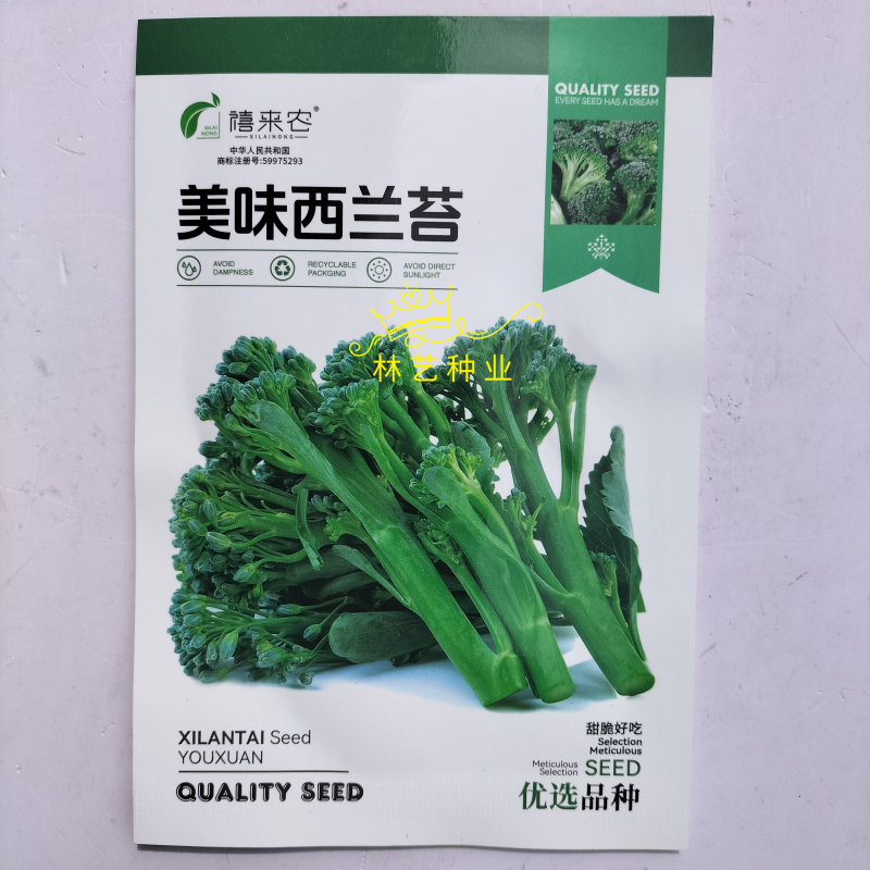 美味西兰苔种子营养西兰花菜种籽高产抽苔花菜苔