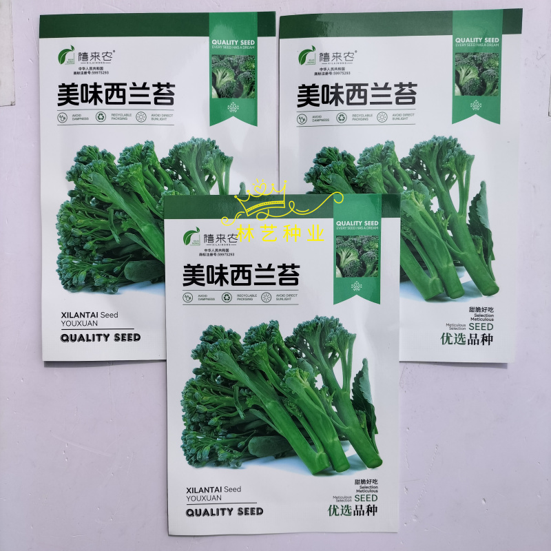 美味西兰苔种子营养西兰花菜种籽高产抽苔花菜苔