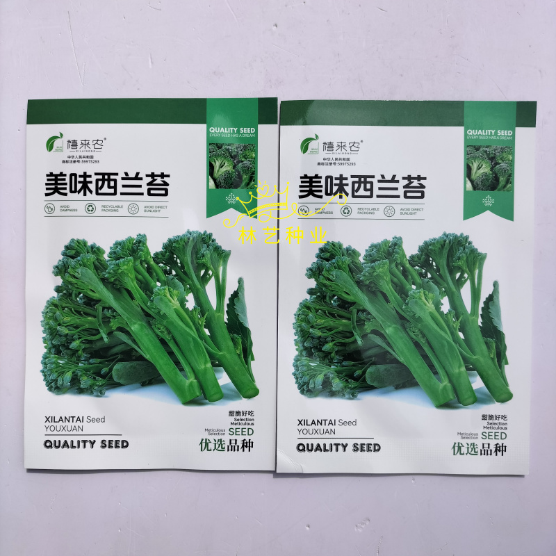 美味西兰苔种子营养西兰花菜种籽高产抽苔花菜苔