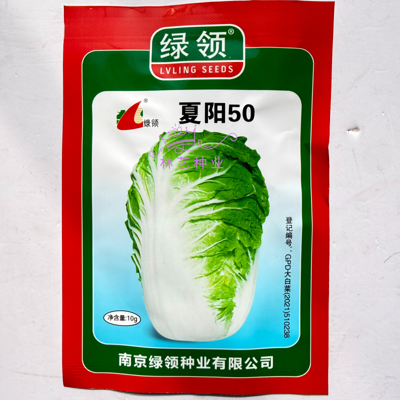 夏阳50大白菜种子耐热夏秋季播种速生50天结球白菜蔬菜种